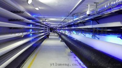 山东鲁蒙牌城市管廊防腐防水涂料